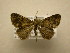  ( - 11-CRBS-676)  @12 [ ] No Rights Reserved (2010) James Sullivan Research Collection of J. B. Sullivan