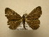  ( - 11-CRBS-692)  @13 [ ] No Rights Reserved (2010) James Sullivan Research Collection of J. B. Sullivan