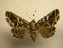  ( - 11-CRBS-730)  @14 [ ] No Rights Reserved (2010) James Sullivan Research Collection of J. B. Sullivan
