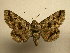  ( - 11-CRBS-740)  @13 [ ] No Rights Reserved (2010) James Sullivan Research Collection of J. B. Sullivan