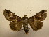  ( - 11-CRBS-772)  @14 [ ] No Rights Reserved (2010) James Sullivan Research Collection of J. B. Sullivan