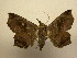  ( - 11-CRBS-805)  @14 [ ] No Rights Reserved (2010) James Sullivan Research Collection of J. B. Sullivan