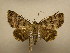  ( - 11-CRBS-820)  @13 [ ] No Rights Reserved (2010) James Sullivan Research Collection of J. B. Sullivan
