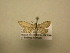  ( - 11-CRBS-1403)  @13 [ ] No Rights Reserved  J. B. Sullivan Unspecified