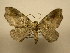  ( - 11-CRBS-1437)  @12 [ ] No Rights Reserved  J. B. Sullivan Unspecified