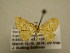  ( - 11-CRBS-1467)  @13 [ ] No Rights Reserved  J. B. Sullivan Unspecified