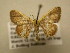  ( - 11-CRBS-1471)  @13 [ ] No Rights Reserved  J. B. Sullivan Unspecified