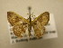  ( - 11-CRBS-1472)  @13 [ ] No Rights Reserved  J. B. Sullivan Unspecified