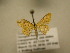  (Idaea Sullivan4622 - 11-CRBS-1503)  @12 [ ] No Rights Reserved  J. B. Sullivan Unspecified