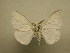  (Eloria Sullivan5628 - 11-CRBS-1607)  @14 [ ] No Rights Reserved  J. B. Sullivan Unspecified