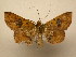  (Oxidercia Poole01 - 11-CRBS-1620)  @14 [ ] No Rights Reserved  J. B. Sullivan Unspecified