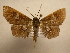  (Oxidercia Sullivan4905 - 11-CRBS-1621)  @13 [ ] No Rights Reserved  J. B. Sullivan Unspecified