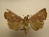  ( - 11-CRBS-1642)  @14 [ ] No Rights Reserved  J. B. Sullivan Unspecified