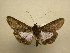  ( - 11-CRBS-1647)  @13 [ ] No Rights Reserved  J. B. Sullivan Unspecified