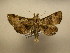  ( - 11-CRBS-1664)  @13 [ ] No Rights Reserved  J. B. Sullivan Unspecified