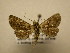  ( - 11-CRBS-1677)  @13 [ ] No Rights Reserved  J. B. Sullivan Unspecified