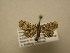  ( - 11-CRBS-1678)  @13 [ ] No Rights Reserved  J. B. Sullivan Unspecified