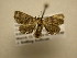  ( - 11-CRBS-1687)  @13 [ ] No Rights Reserved  J. B. Sullivan Unspecified