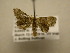  ( - 11-CRBS-1688)  @13 [ ] No Rights Reserved  J. B. Sullivan Unspecified