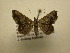  ( - 11-CRBS-1695)  @13 [ ] No Rights Reserved  J. B. Sullivan Unspecified