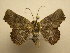  ( - 11-CRBS-1698)  @14 [ ] No Rights Reserved  J. B. Sullivan Unspecified