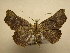  ( - 11-CRBS-1699)  @14 [ ] No Rights Reserved  J. B. Sullivan Unspecified