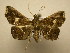  (Salia Sullivan1894 - 11-CRBS-1701)  @14 [ ] No Rights Reserved  J. B. Sullivan Unspecified