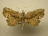  (Oroscopa Sullivan5653 - 11-CRBS-1726)  @14 [ ] No Rights Reserved  J. B. Sullivan Unspecified