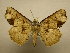  ( - 11-CRBS-1729)  @13 [ ] No Rights Reserved  J. B. Sullivan Unspecified
