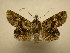  ( - 11-CRBS-1740)  @13 [ ] No Rights Reserved  J. B. Sullivan Unspecified