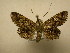  ( - 11-CRBS-1742)  @13 [ ] No Rights Reserved  J. B. Sullivan Unspecified