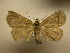  ( - 11-CRBS-1761)  @14 [ ] No Rights Reserved  J. B. Sullivan Unspecified