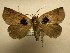  ( - 11-CRBS-1780)  @14 [ ] No Rights Reserved  J. B. Sullivan Unspecified