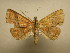  ( - 11-CRBS-1781)  @13 [ ] No Rights Reserved  J. B. Sullivan Unspecified