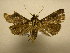  ( - 11-CRBS-1792)  @13 [ ] No Rights Reserved  J. B. Sullivan Unspecified