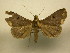  ( - 11-CRBS-1828)  @12 [ ] No Rights Reserved (2010) James Sullivan Research Collection of J. B. Sullivan