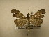  ( - 11-CRBS-1847)  @12 [ ] No Rights Reserved (2010) James Sullivan Research Collection of J. B. Sullivan