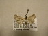  ( - 11-CRBS-1911)  @12 [ ] No Rights Reserved (2010) James Sullivan Research Collection of J. B. Sullivan