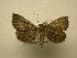  (Phlyctaina Poole02 - 11-CRBS-1987)  @14 [ ] No Rights Reserved (2010) James Sullivan Research Collection of J. B. Sullivan