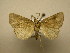  ( - 11-CRBS-2019)  @13 [ ] No Rights Reserved (2010) James Sullivan Research Collection of J. B. Sullivan