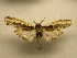  ( - 11-CRBS-2063)  @14 [ ] No Rights Reserved (2010) James Sullivan Research Collection of J. B. Sullivan