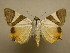  ( - 11-CRBS-2109)  @13 [ ] No Rights Reserved (2010) James Sullivan Research Collection of J. B. Sullivan
