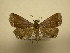  (Rejectaria Sullivan 5088 - 11-CRBS-2136)  @14 [ ] No Rights Reserved (2010) James Sullivan Research Collection of J. B. Sullivan