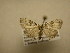  (Callinola BioLep2278 - 11-CRBS-2154)  @14 [ ] No Rights Reserved (2010) James Sullivan Research Collection of J. B. Sullivan