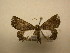  ( - 11-CRBS-2190)  @13 [ ] No Rights Reserved (2010) James Sullivan Research Collection of J. B. Sullivan