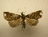  (Rejectaria Poole13 - 11-CRBS-2216)  @14 [ ] No Rights Reserved (2010) James Sullivan Research Collection of J. B. Sullivan