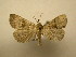  (Rejectaria Sullivan2228 - 11-CRBS-2228)  @11 [ ] No Rights Reserved (2010) James Sullivan Research Collection of J. B. Sullivan
