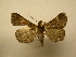  (Rejectaria Poole14 - 11-CRBS-2238)  @14 [ ] No Rights Reserved (2010) James Sullivan Research Collection of J. B. Sullivan