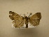  ( - 11-CRBS-2244)  @12 [ ] No Rights Reserved (2010) James Sullivan Research Collection of J. B. Sullivan