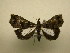  ( - 11-CRBS-2247)  @13 [ ] No Rights Reserved (2010) James Sullivan Research Collection of J. B. Sullivan